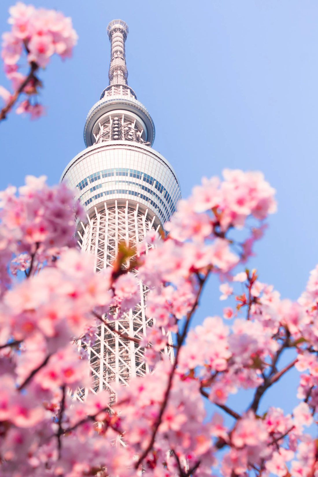 Tokyo Skytree: A Towering Icon of Modern Tokyo