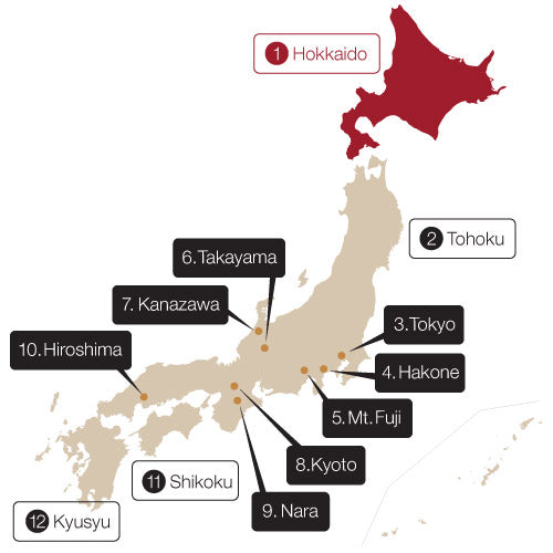 Same-Day Tours in Japan