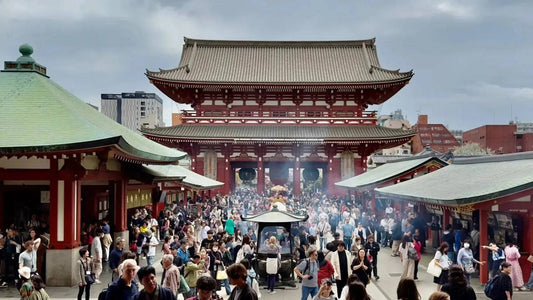 One day Tokyo Private Tour