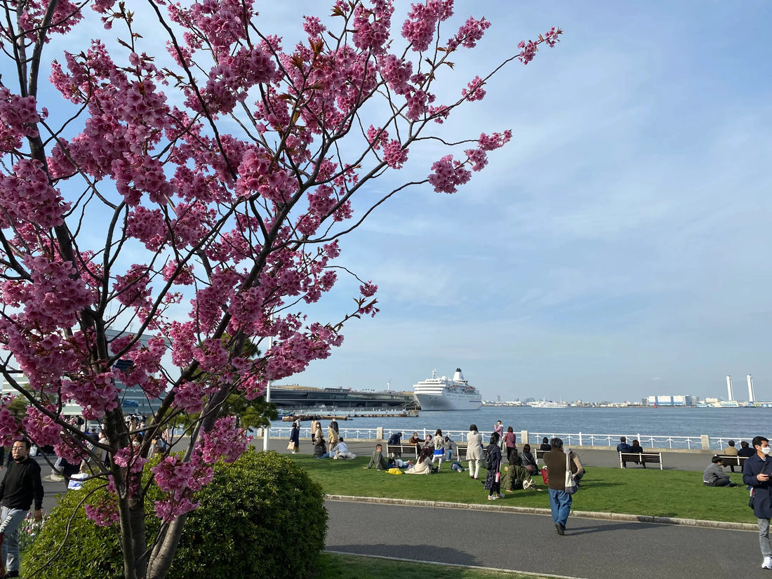 When does sakura happen in Tokyo?