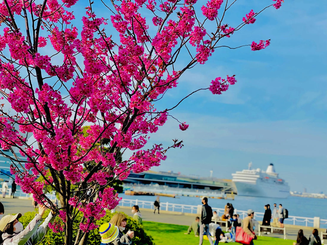 Experience-the-Magic-of-Tokyo-Sakura-Tour-2025-Your-Ultimate-Guide Tokyo Private Tours