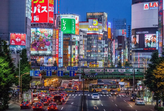 Flexible itinerary options for Tokyo tours