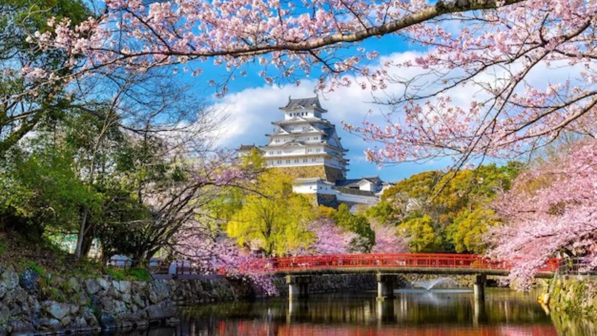 Himeji Castle, a national treasure, became Japan's first World Heritage Site in December 1993, along with Horyuji Temple in Nara.