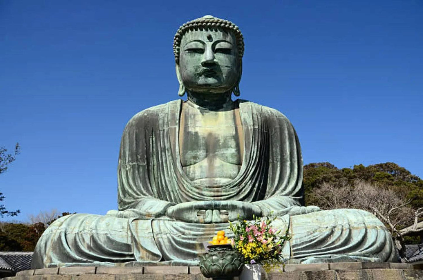 One day Kamakura Tour